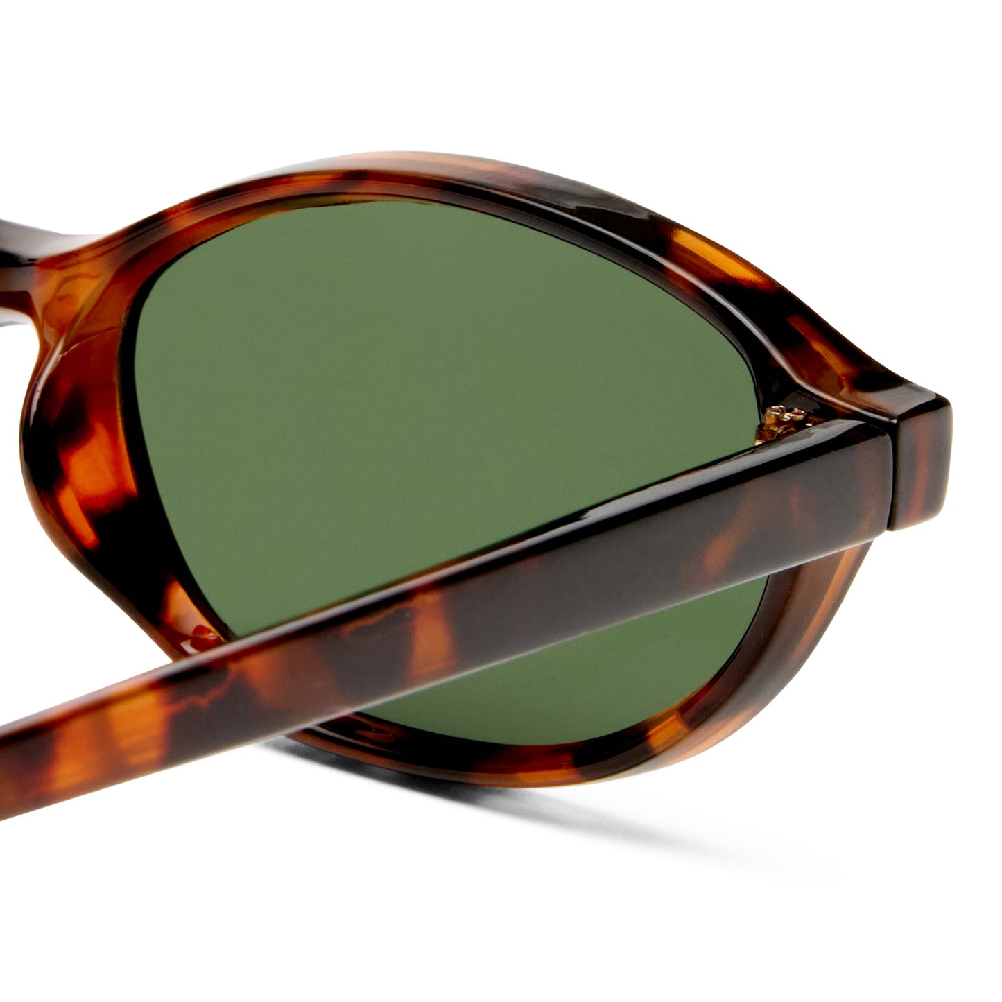 Earthshine Dark Tort Female Oval Sunglasses | Aire