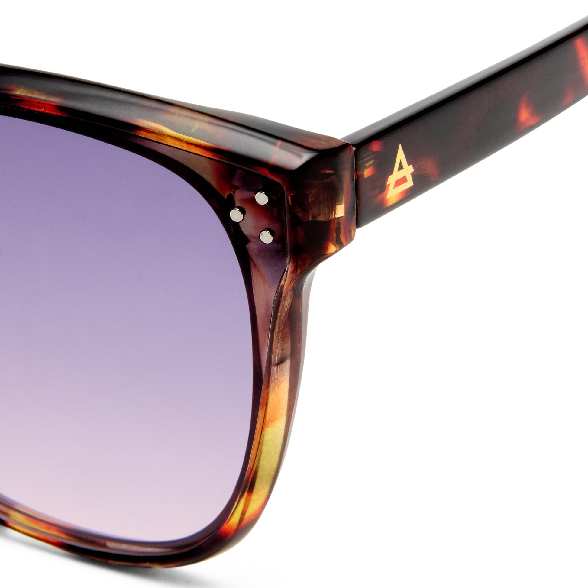 Elementa Amber Tort Female Square Sunglasses | Aire