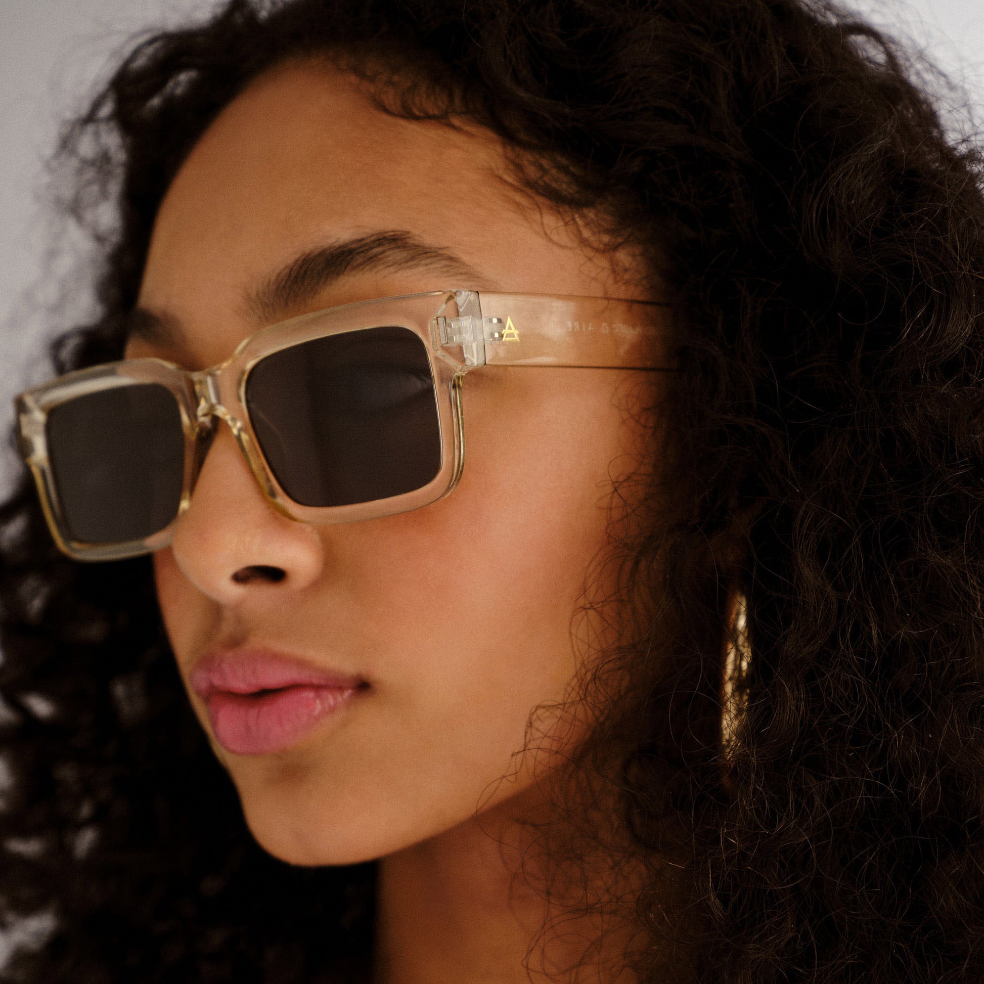 Castor Sand Uni-Sex D-Frame Sunglasses | Aire