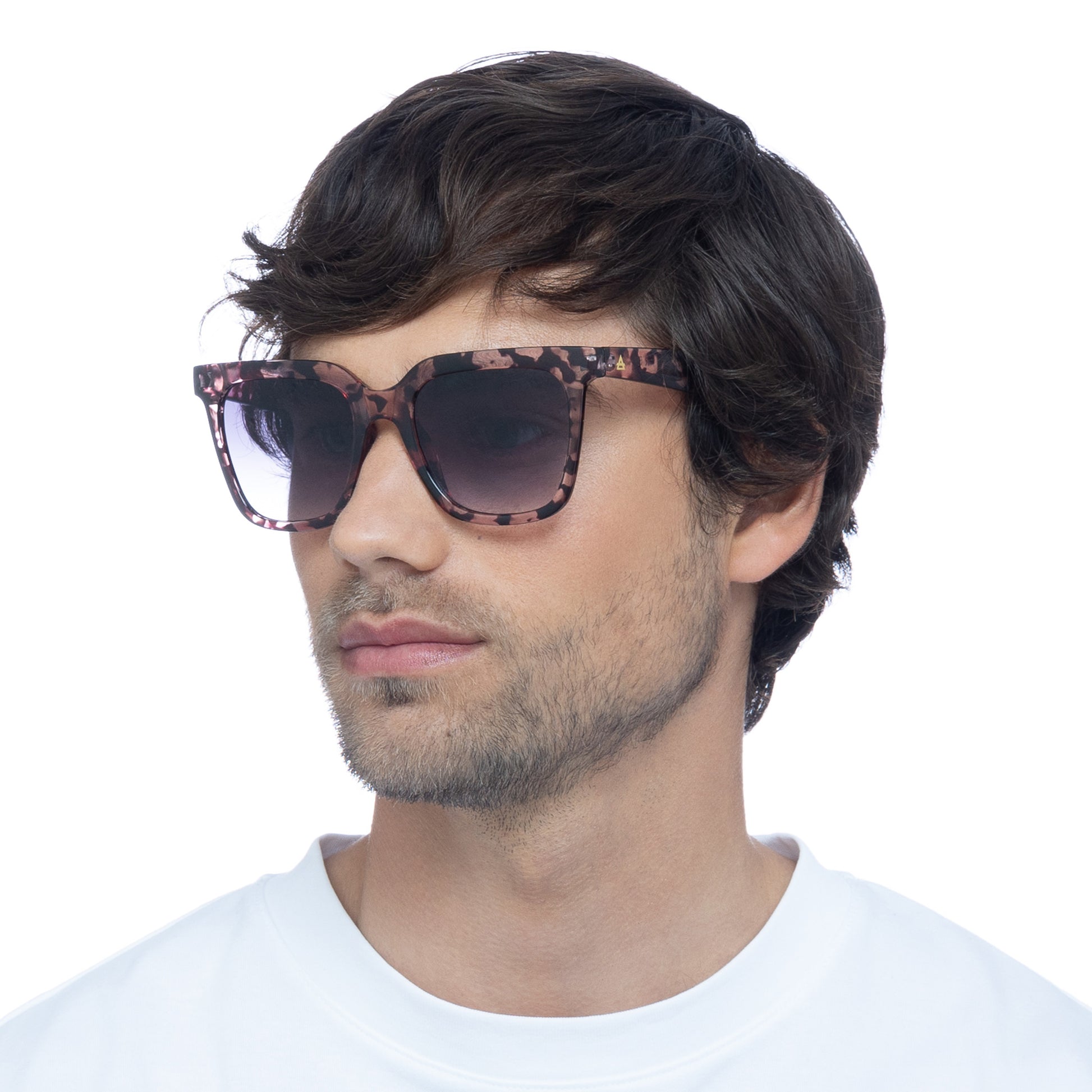 Meteorite Musk Tort Uni-Sex D-Frame Sunglasses | Aire