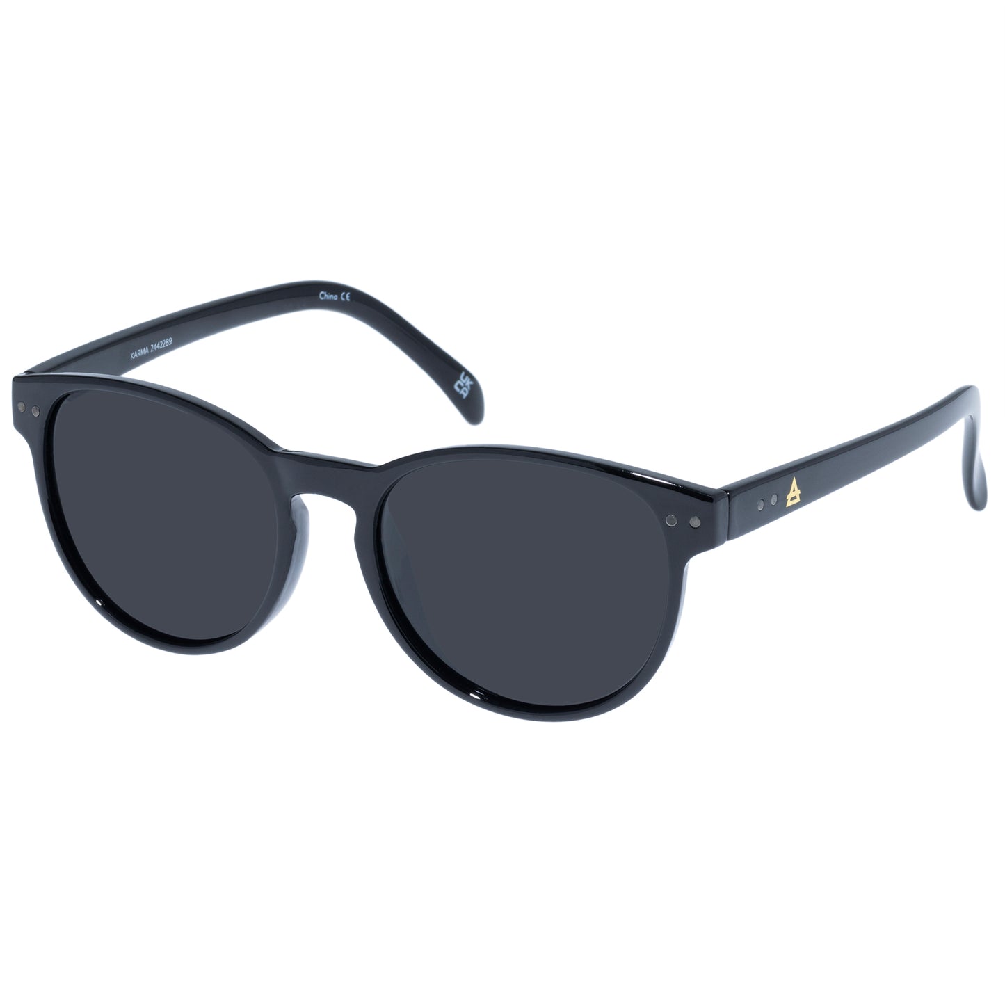 Karma Black Uni-Sex Round Sunglasses | Aire