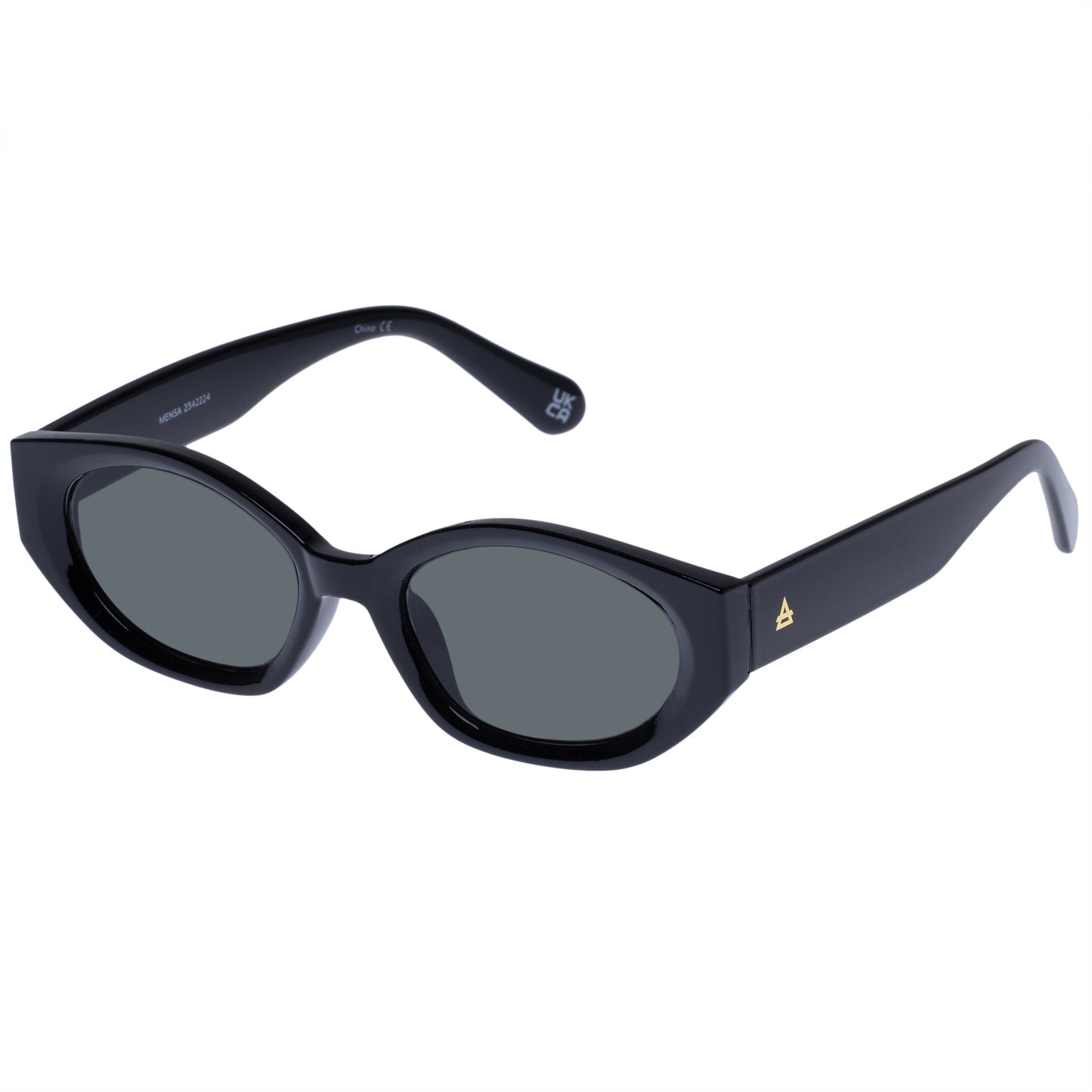 Mensa Black Uni-Sex Oval Sunglasses | Aire