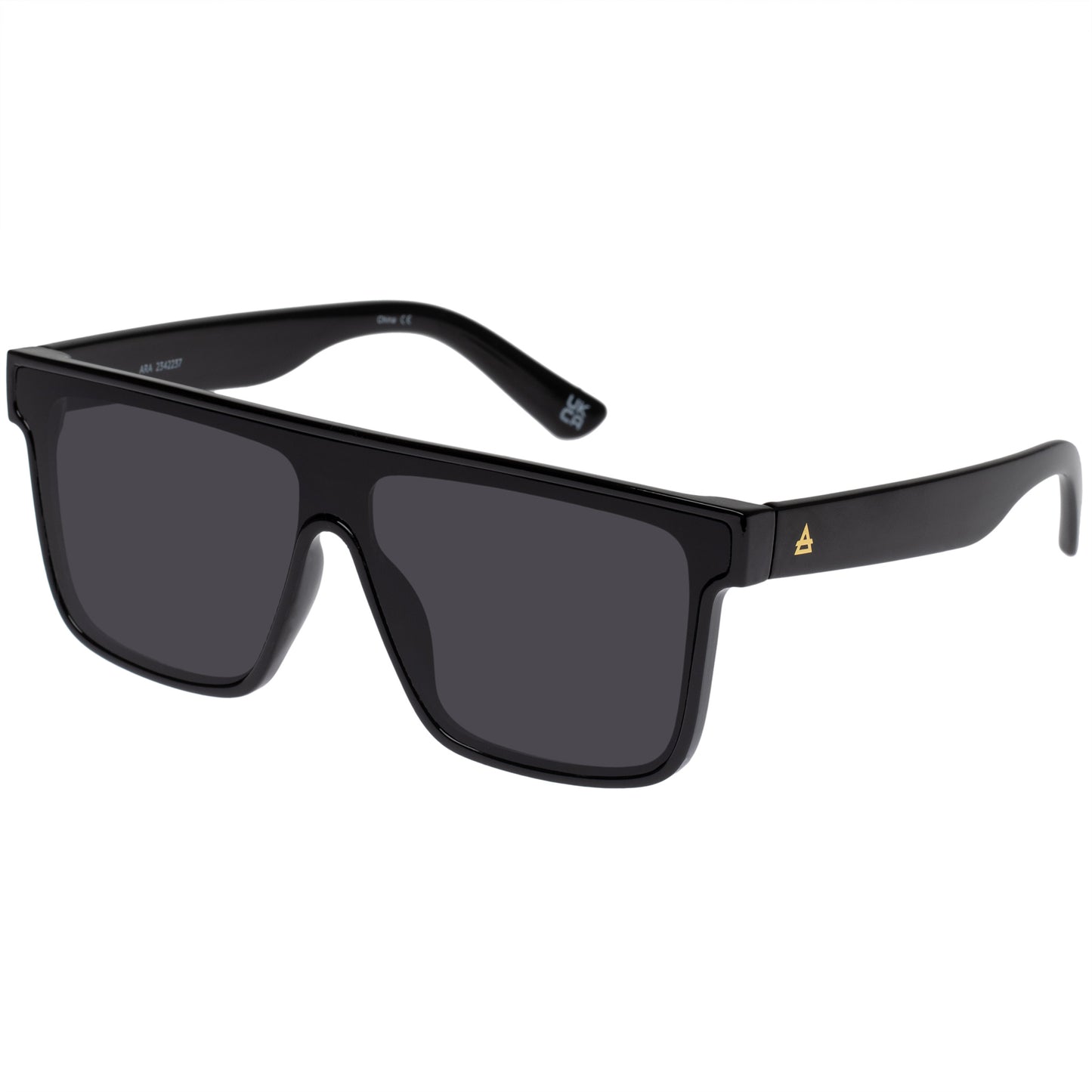 Ara Shiny Black Uni-Sex Square Sunglasses | Aire